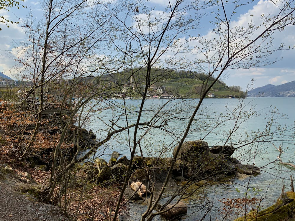 vlog創(chuàng)作者頭像