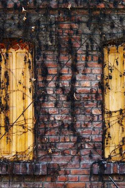 社區(qū)互動(dòng)功能