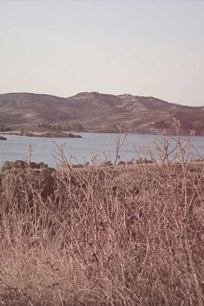 關(guān)于糖心vlog團(tuán)隊(duì)