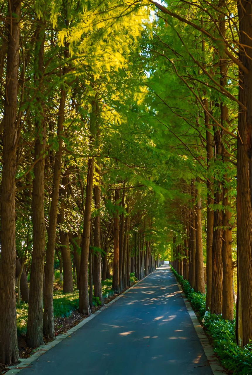 無人區(qū)第1集